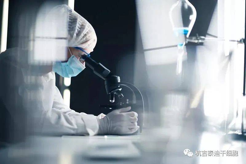 干細(xì)胞技術(shù)治療漸凍癥的潛在挑戰(zhàn) 不良反應(yīng)、費(fèi)用與未來展望