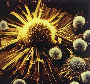 生命科技前沿的領(lǐng)航者 專注于人體干細(xì)胞技術(shù)開發(fā)與應(yīng)用的企業(yè)簡介