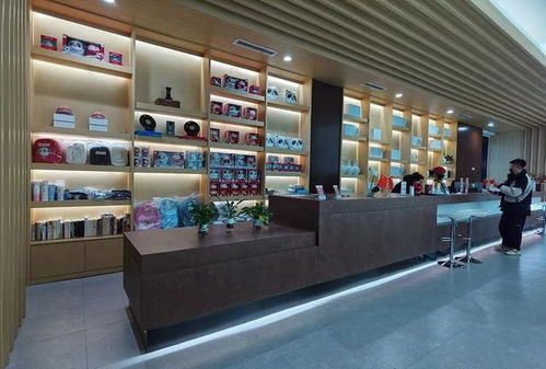 火上熱搜 冰墩墩賣光了 網(wǎng)友 求補(bǔ)貨