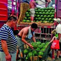 貿易批發(fā)商