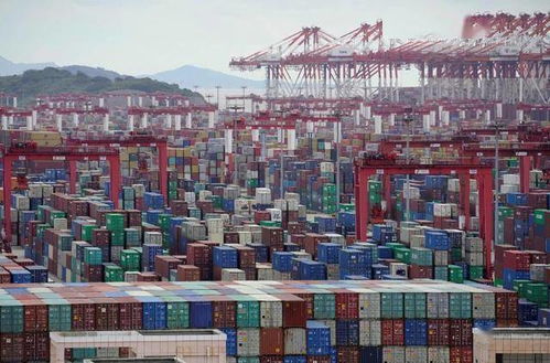 曝澳洲出口上海的水果和海鮮將接受全面查驗